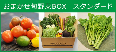 【リエビン】野菜ソムリエプロセレクト　南房総館山のおまかせ旬野菜BOX