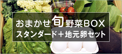 【地元卵セット】野菜ソムリエプロセレクト 南房総館山のおまかせ旬野菜BOX