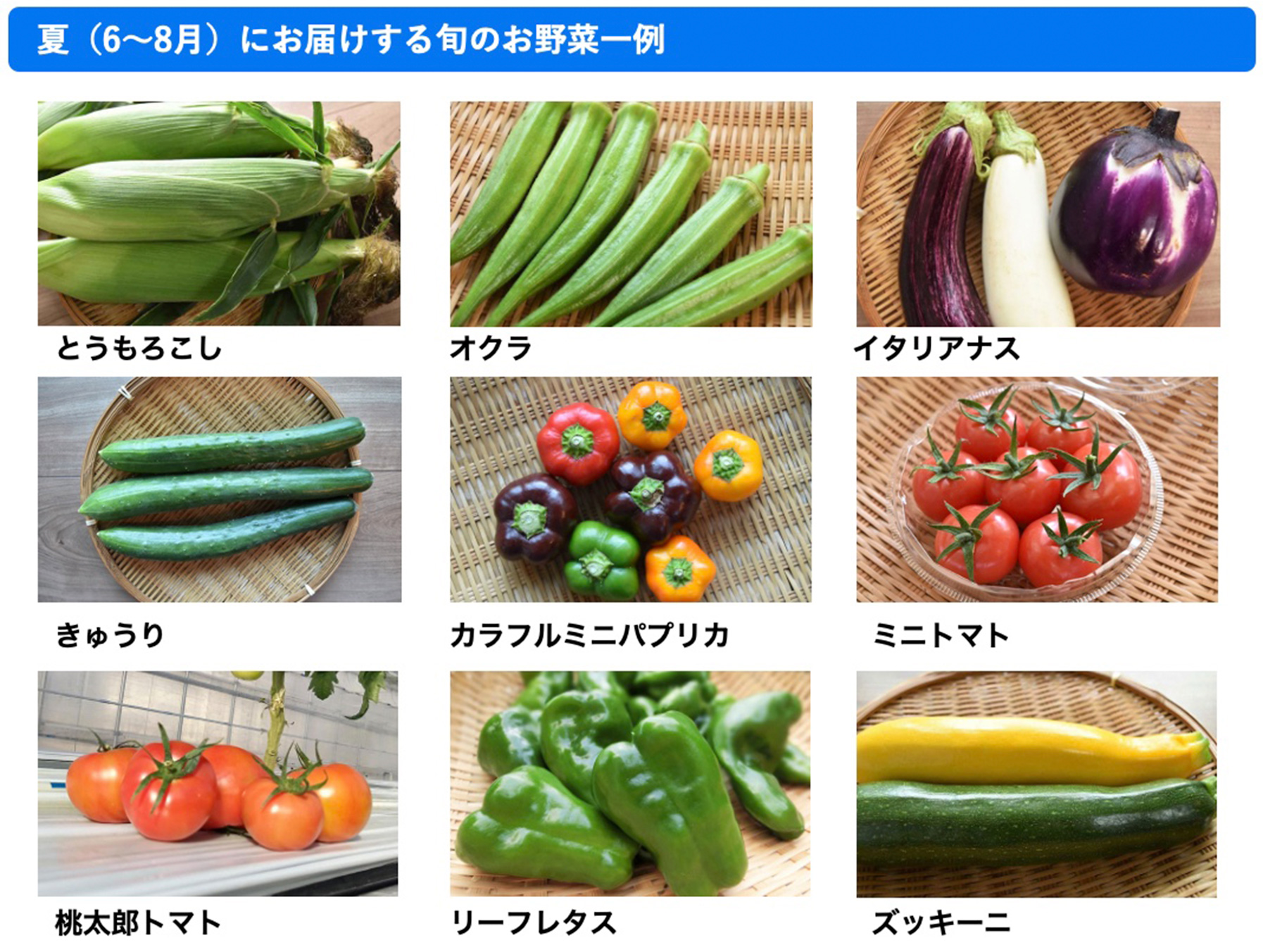 お野菜リスト
