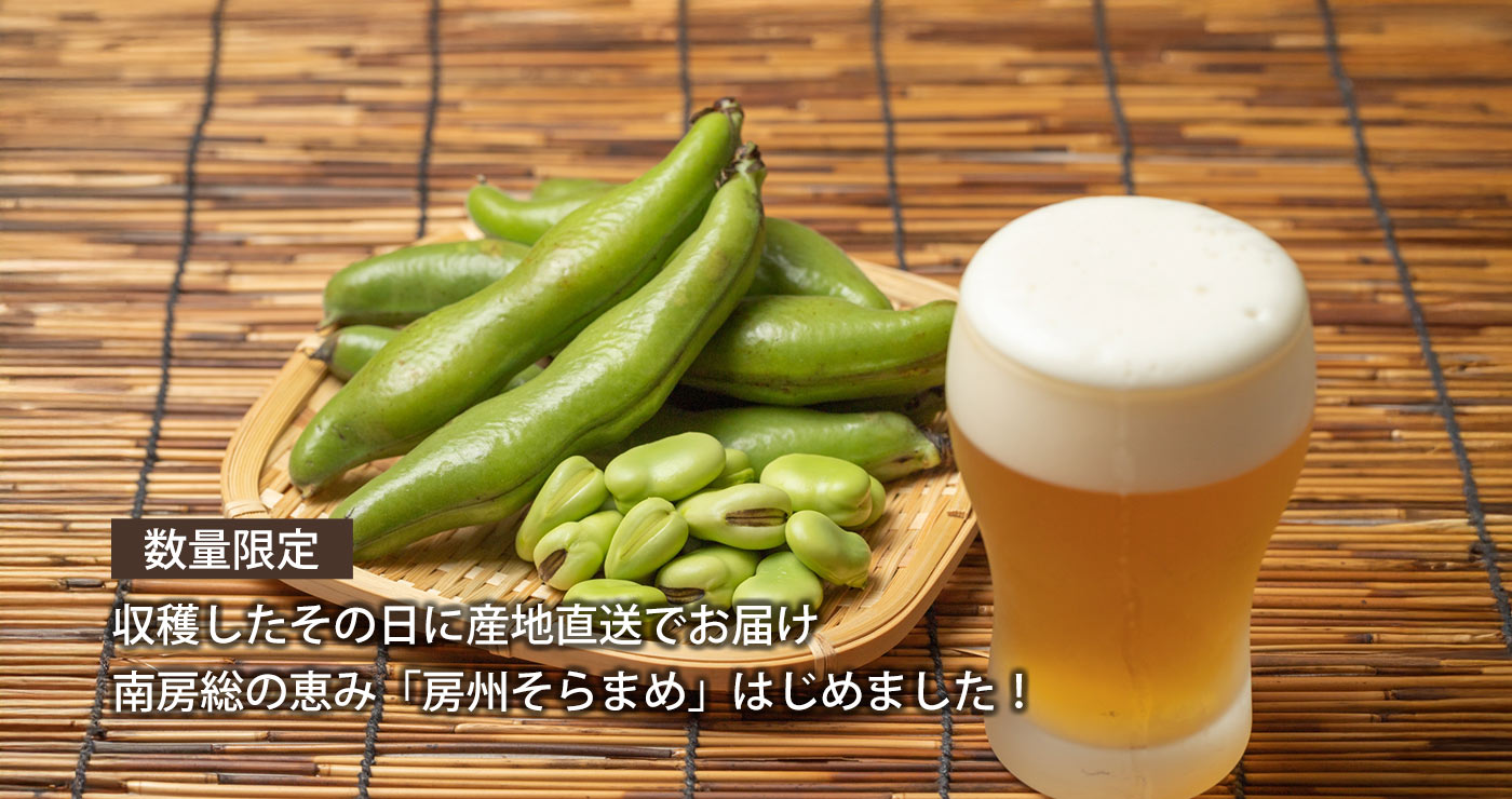 5月末まで房州そらまめ|リエビン