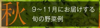 秋野菜（9〜11月）