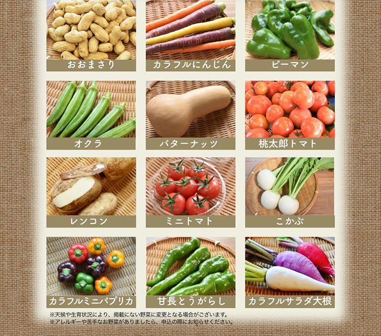 おためし「おまかせ旬野菜BOX」季節のお野菜7～8種類リスト|リエビン