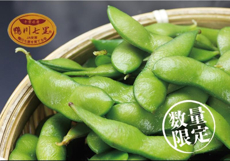 鴨川七里（在来種枝豆）1.5kg（300g×5袋）