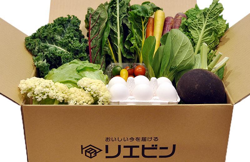 【地元卵セット】南房総館山のおまかせ旬野菜BOX