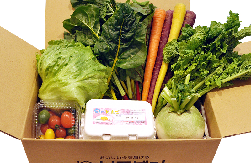 【受取専用】おまかせ旬野菜ＢＯＸスモール（旬野菜と地元卵のお手頃セット）