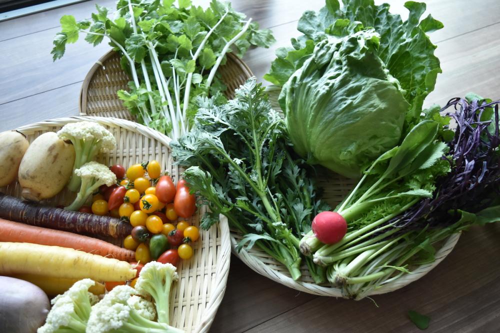 南房総館山のおまかせ旬野菜BOX