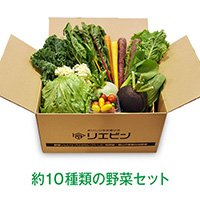 南房総館山のおまかせ旬野菜BOX
