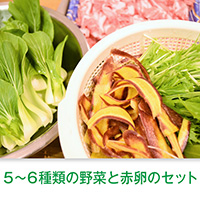【冬の定番】おまかせ旬野菜鍋セットBOX