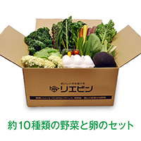 【地元卵セット】南房総館山のおまかせ旬野菜BOX