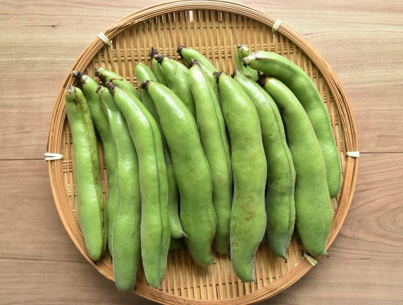 5月末まで【期間限定】房州そらまめ　4kg（約80～100本）