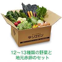 【初回送料無料・定期おとどけ便】【ギフトやパーティにも】おまかせ旬野菜BOXデラックス（旬野菜＋赤卵）