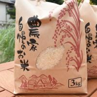 3kgx2袋【我が家の新米】2021年館山産コシヒカリ-玄米・精米（白米）