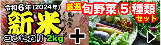 新米コシヒカリ2kg&厳選旬野菜セット