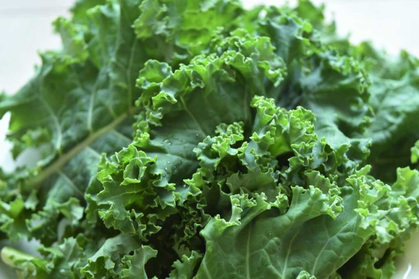 カリーノケール