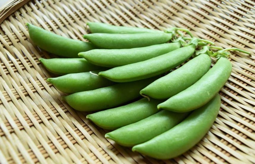 スナップエンドウ