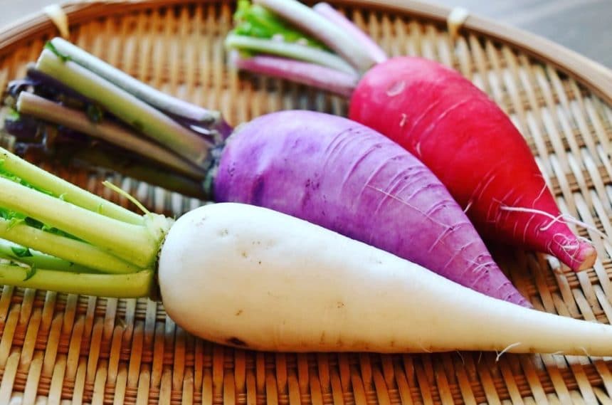 たてやまかおり菜園様「カラフルミニ大根」