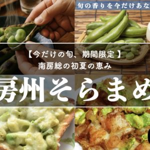 【ただいまご予約受付中】【房州そらまめ】南房総から初夏の贈り物